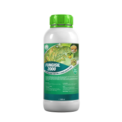 FUNGISIL - 2000 KHÁNG NẤM - VI KHUẨN
